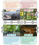 Bright spots for advancing ecological understanding and conservation decision-making